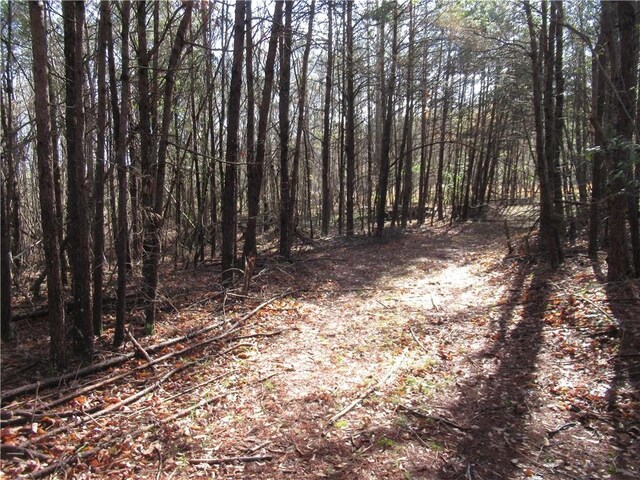 00 Amberway Dr, Easley, SC 29640