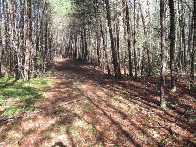 00 Amberway Dr, Easley, SC 29640