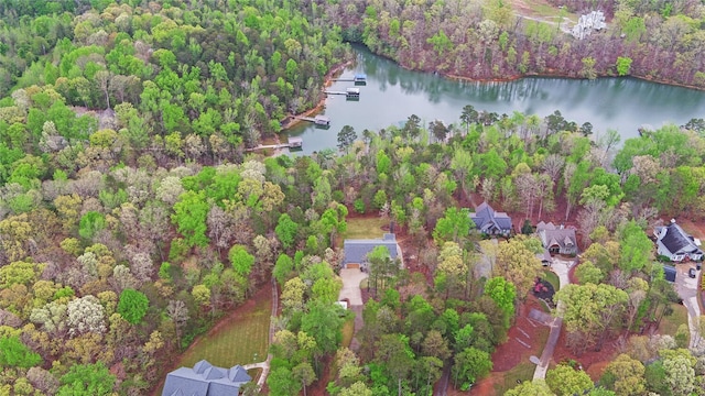899 Paynes Creek Rd, Hartwell, GA 30643 - aerial view of a large body of water and a heavily wooded area