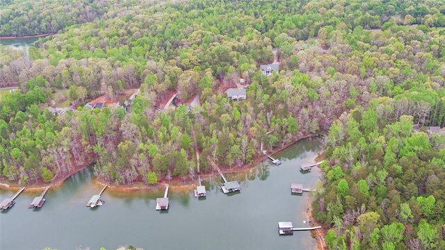 899 Paynes Creek Rd, Hartwell, GA 30643 - aerial overview of property's location featuring a nearby body of water and a heavily wooded area