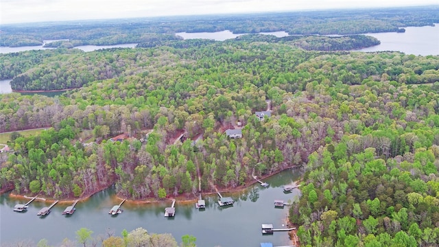 899 Paynes Creek Rd, Hartwell, GA 30643 - drone / aerial view of a nearby body of water and a heavily wooded area