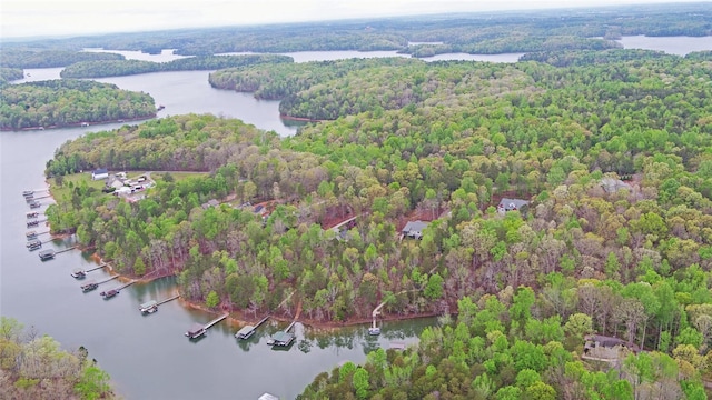 899 Paynes Creek Rd, Hartwell, GA 30643 - drone / aerial view of a large body of water and a forest