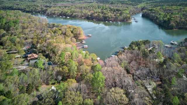 bird's eye view with a water view and a wooded view