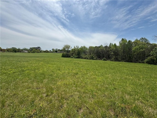 207 Roe Rd, Greenville, SC 29611 - photo 16