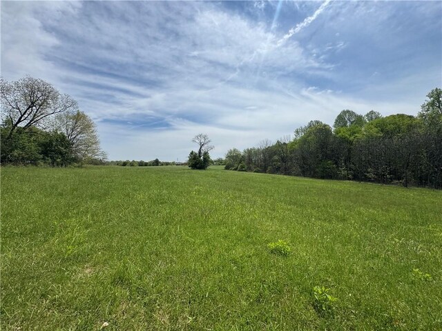 207 Roe Rd, Greenville, SC 29611 - photo 17
