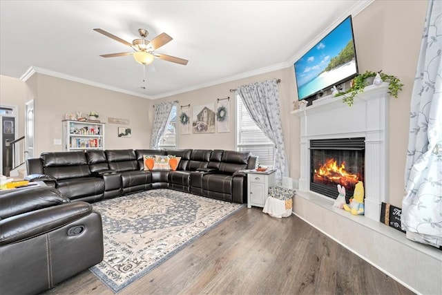 185 Norfolk Cir, Anderson, SC 29625 - living area featuring a ceiling fan, ornamental molding, a lit fireplace, and wood finished floors