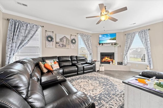 185 Norfolk Cir, Anderson, SC 29625 - living area featuring ornamental molding, visible vents, a healthy amount of sunlight, and ceiling fan