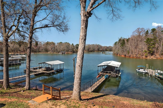 910 Dogwood Ln, Townville, SC 29689 - photo 42