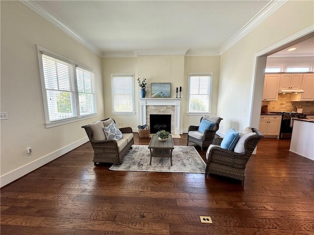 living area featuring a fireplace, ornamental molding, baseboards, and dark wood-type flooring