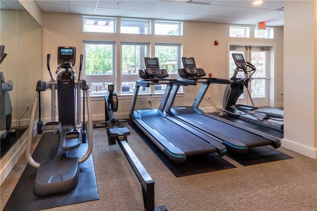exercise room with carpet flooring, baseboards, and a drop ceiling
