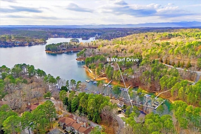 6 Wharf Dr, Salem, SC 29676 - photo 2