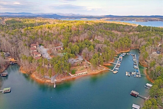 6 Wharf Dr, Salem, SC 29676 - photo 5