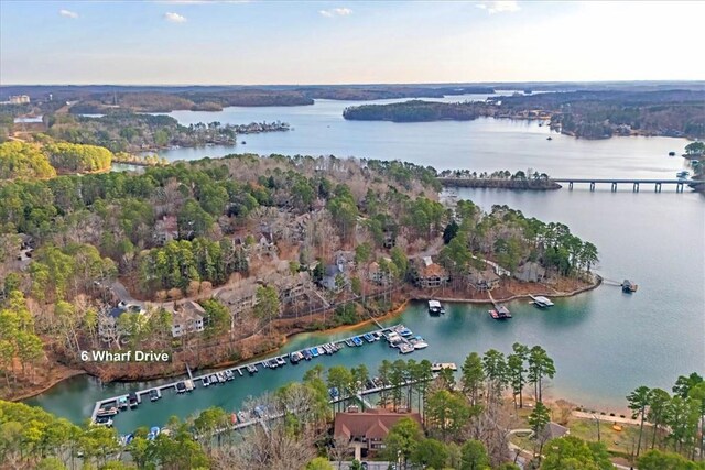 6 Wharf Dr, Salem, SC 29676 - photo 4