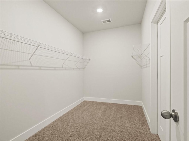 walk in closet featuring carpet flooring