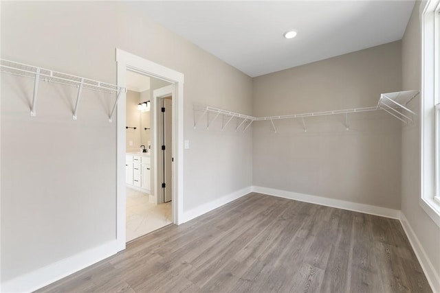 spacious closet featuring light wood-type flooring