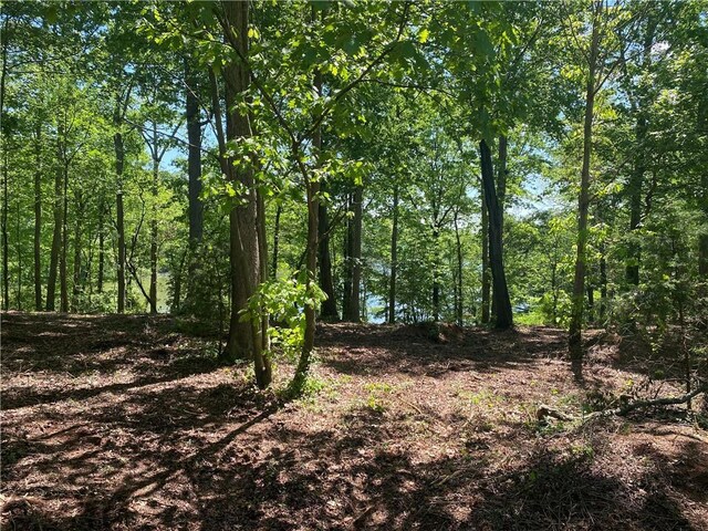 438 Arrowhead Lake Trl, Westminster, SC 29693 - photo 5