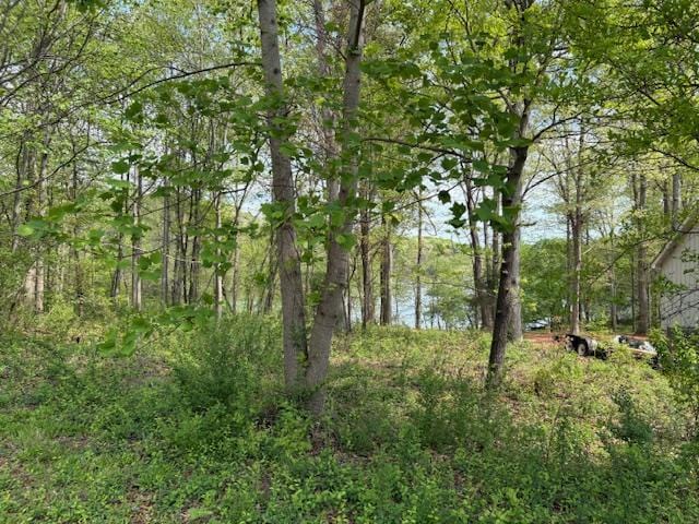 438 Arrowhead Lake Trl, Westminster, SC 29693 - photo 7