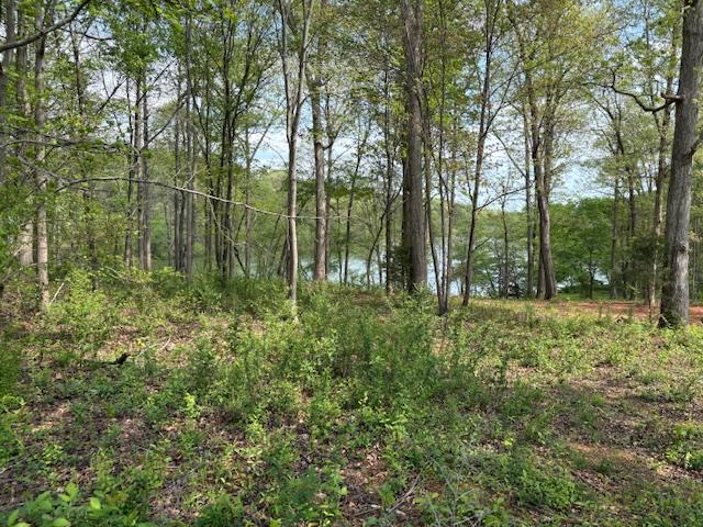438 Arrowhead Lake Trl, Westminster, SC 29693 - photo 8