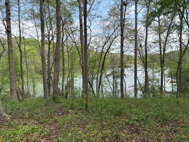 438 Arrowhead Lake Trl, Westminster, SC 29693 - photo 9