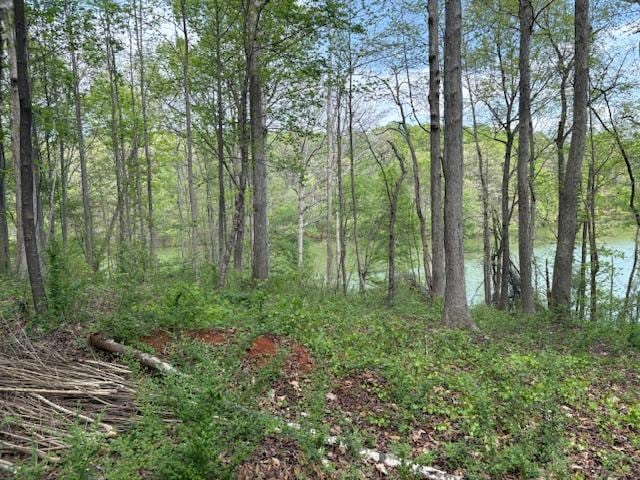 438 Arrowhead Lake Trl, Westminster, SC 29693 - photo 12