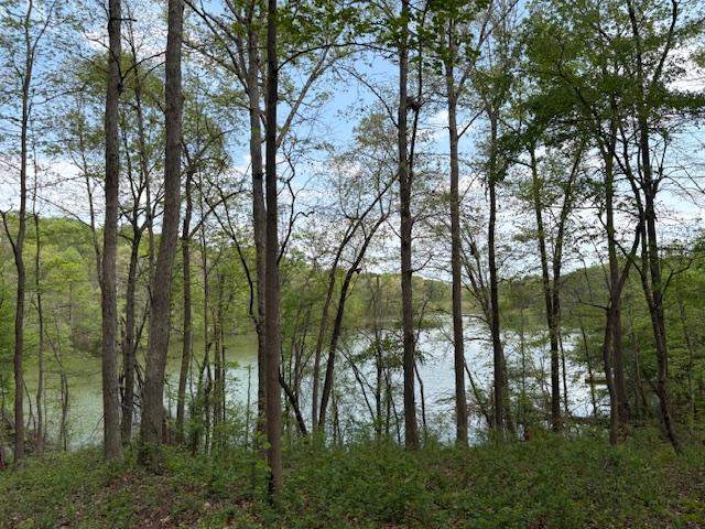 438 Arrowhead Lake Trl, Westminster, SC 29693 - photo 14