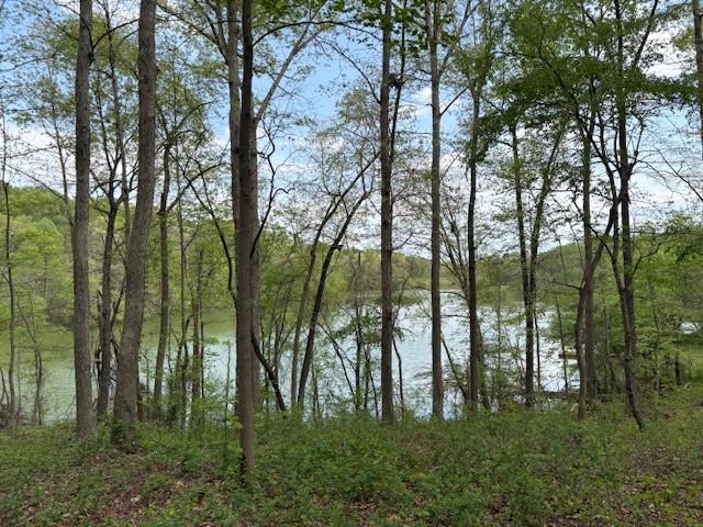 438 Arrowhead Lake Trl, Westminster, SC 29693 - photo 15