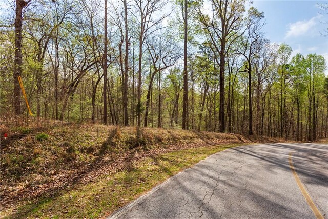400 S Foxglove Rd, Westminster, SC 29693 - photo 6
