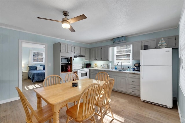 124-130 S Port Bass Dr, Fair Play, SC 29643 - dining space featuring crown molding, a ceiling fan, light wood-style floors, and a textured ceiling