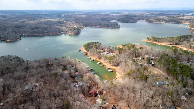 124-130 S Port Bass Dr, Fair Play, SC 29643 - bird's eye view with a wooded view and a water view