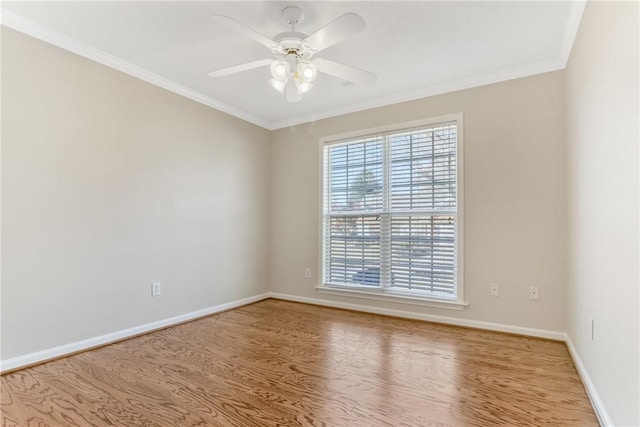 313 Lexington Place Way, Greenville, SC 29615 - photo 29