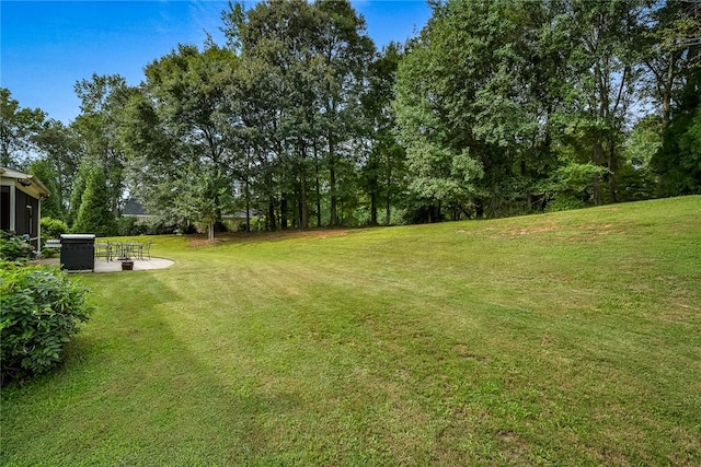 view of yard featuring a patio area