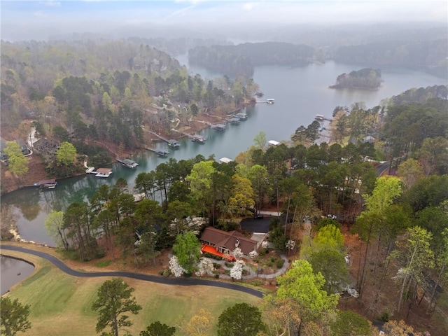 bird's eye view featuring a water view