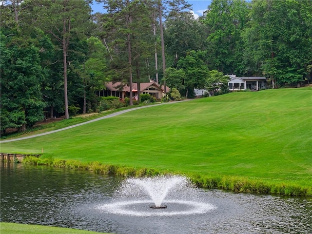 3 Windward Ct, Salem, SC 29676 - view of home's community with a water view and a yard