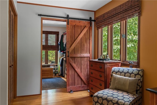3 Windward Ct, Salem, SC 29676 - living area featuring plenty of natural light, light wood-style flooring, and a barn door