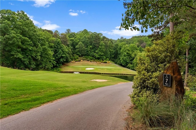 3 Windward Ct, Salem, SC 29676 - view of home's community with view of golf course and a lawn