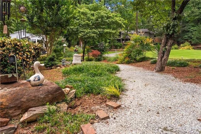 3 Windward Ct, Salem, SC 29676 - view of yard with view of wooded area