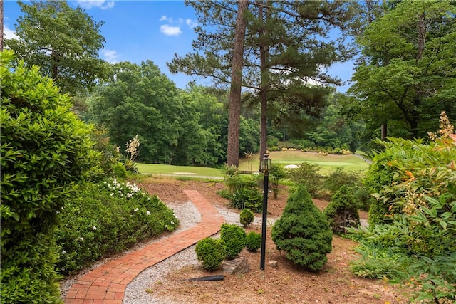 3 Windward Ct, Salem, SC 29676 - view of community