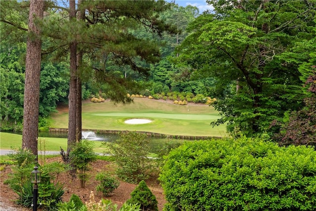 3 Windward Ct, Salem, SC 29676 - surrounding community featuring a yard, golf course view, and a water view