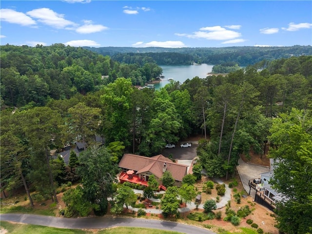 3 Windward Ct, Salem, SC 29676 - aerial view of a heavily wooded area and a nearby body of water