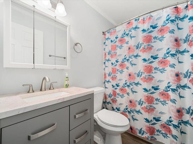 bathroom with toilet, crown molding, vanity, and a shower with shower curtain