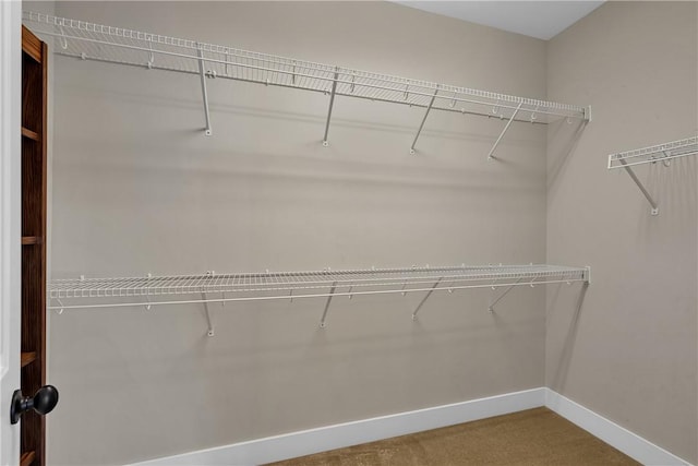 spacious closet featuring carpet