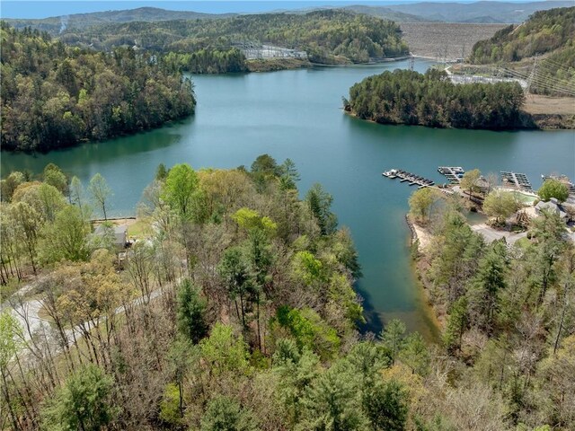 LOT2 Johnson Dr, Sunset, SC 29685 - photo 32