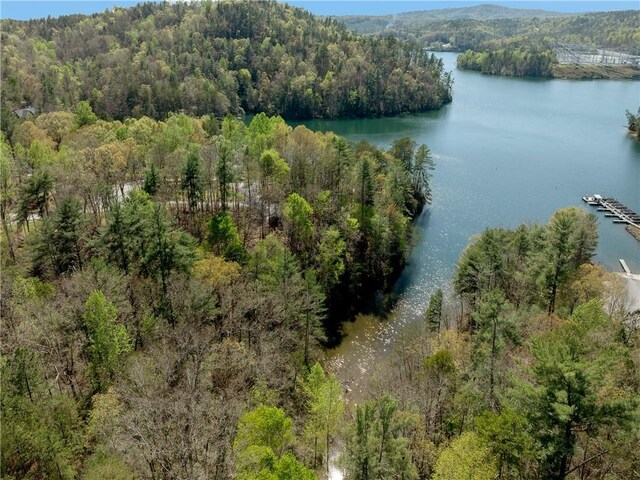 LOT2 Johnson Dr, Sunset, SC 29685 - photo 33