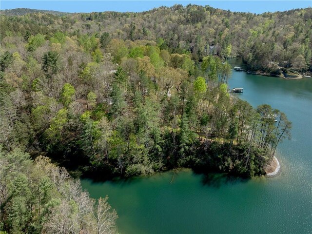 LOT2 Johnson Dr, Sunset, SC 29685 - photo 34