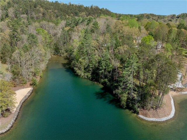 LOT2 Johnson Dr, Sunset, SC 29685 - photo 35