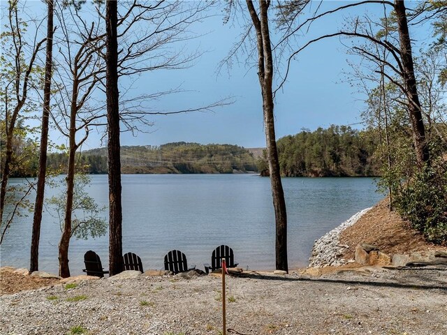 LOT2 Johnson Dr, Sunset, SC 29685 - photo 4