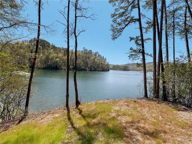 LOT2 Johnson Dr, Sunset, SC 29685 - photo 6
