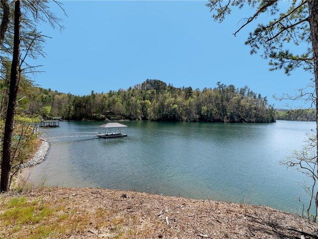 LOT2 Johnson Dr, Sunset, SC 29685 - photo 5