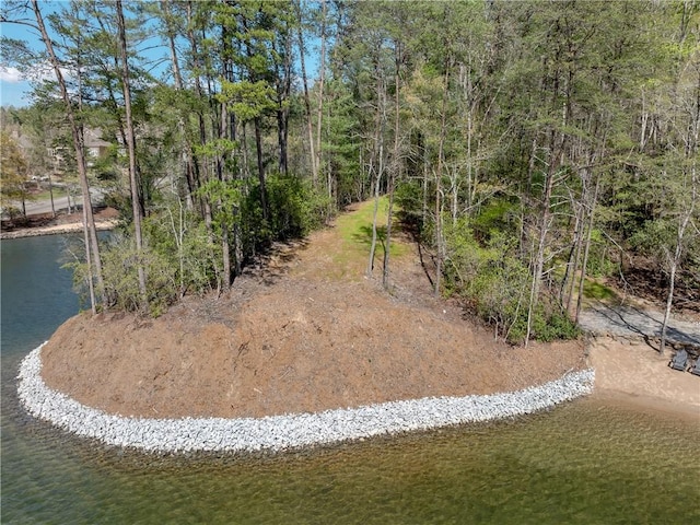 LOT2 Johnson Dr, Sunset, SC 29685 - photo 1