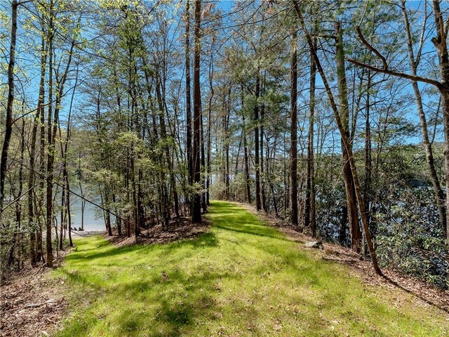 LOT2 Johnson Dr, Sunset, SC 29685 - photo 15